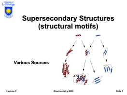 Supersecondary Structures (Structural Motifs)