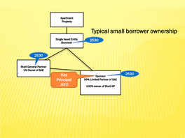 Typical Small Borrower Ownership