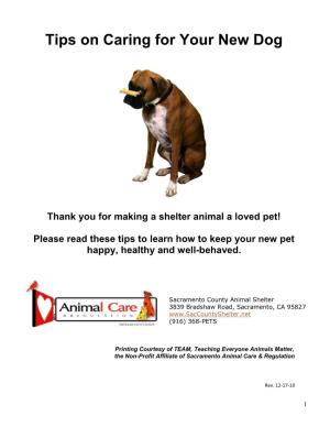 Tips on Caring for Your New Dog August 2015