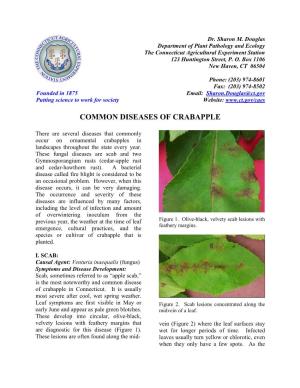 Common Diseases of Crabapple