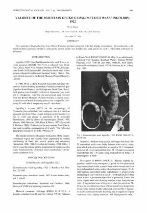 Validity of the Mountain Gecko Gymnodactylus Wall/ Ingoldby, 1922