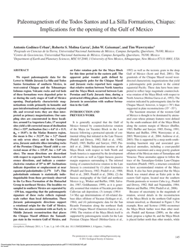 Paleomagnetism of the Todos Santos and La Silla Formations, Chiapas: Implications for the Opening of the Gulf of Mexico