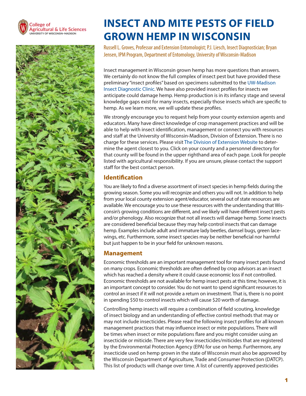 INSECT and MITE PESTS of FIELD GROWN HEMP in WISCONSIN Russell L