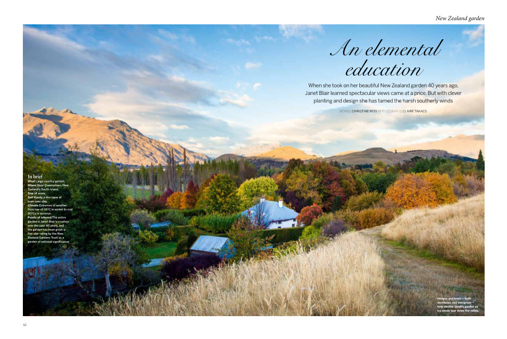 An Elemental Education When She Took on Her Beautiful New Zealand Garden 40 Years Ago, Janet Blair Learned Spectacular Views Came at a Price