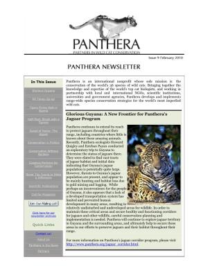 Glorious Guyana: a New Frontier for Panthera's Jaguar Program