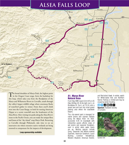 Alsea Falls Loop Guide