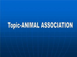 Animal-Association.Pdf
