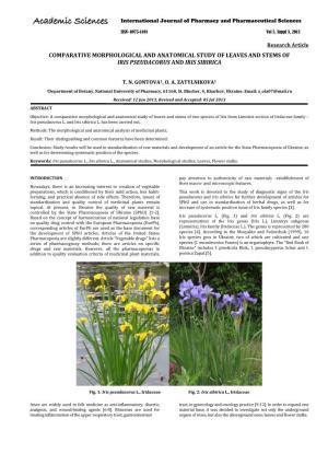 Comparative Morphological and Anatomical Study of Leaves and Stems of Iris Pseudacorus and Iris Sibirica