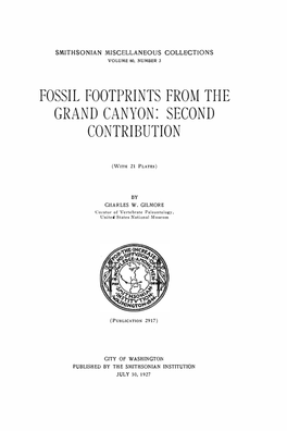 Fossil Footprints from the Grand Canyon: Second Contribution