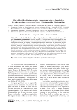 Micro Identificación Taxonómica Y Nuevos Caracteres Diagnósticos Del Erizo Marino Astropyga Pulvinata (Diadematoida: Diadematidae)