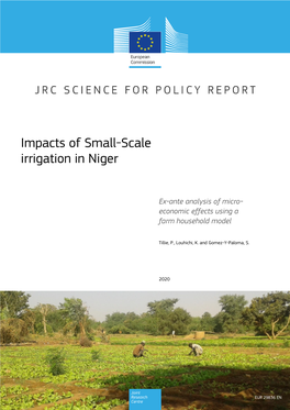 Impacts of Small-Scale Irrigation in Niger