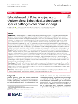 Establishment of Babesia Vulpes N. Sp. (Apicomplexa: Babesiidae)