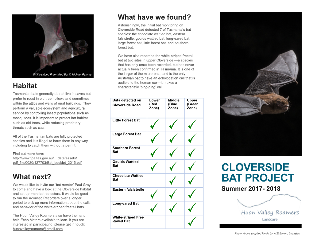 Cloverside Bat Project