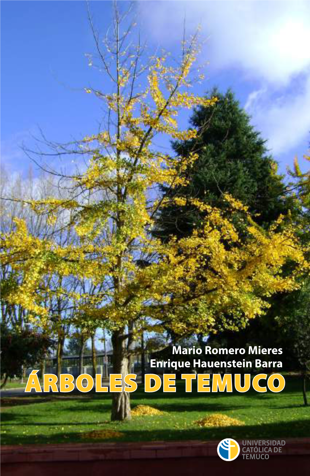 ÁRBOLES DE TEMUCO Árboles De Temuco