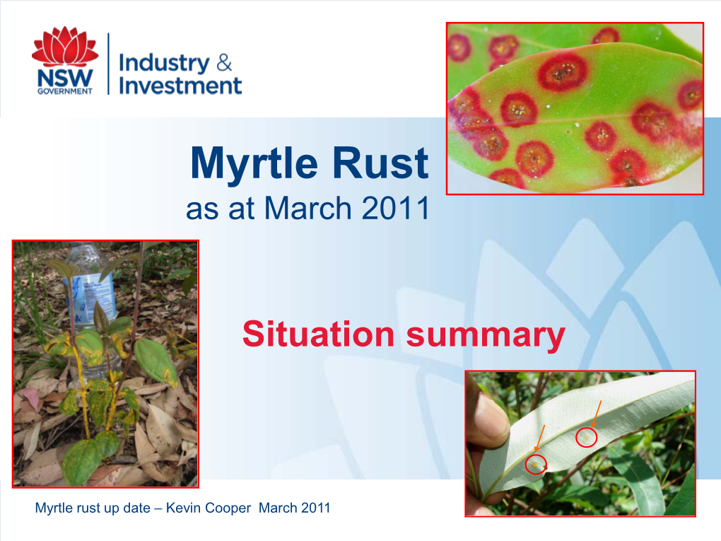 Myrtle Rust As at March 2011