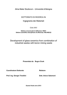 Ingegneria Dei Materiali Development of Glass-Ceramics from Combination