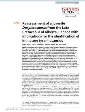 Reassessment of a Juvenile Daspletosaurus from the Late Cretaceous of Alberta, Canada with Implications for the Identifcation of Immature Tyrannosaurids Jared T