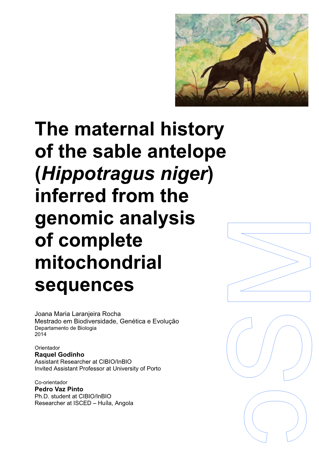 The Maternal History of the Sable Antelope (Hippotragus Niger) Inferred from the Genomic Analysis of Complete Mitochondrial Sequences