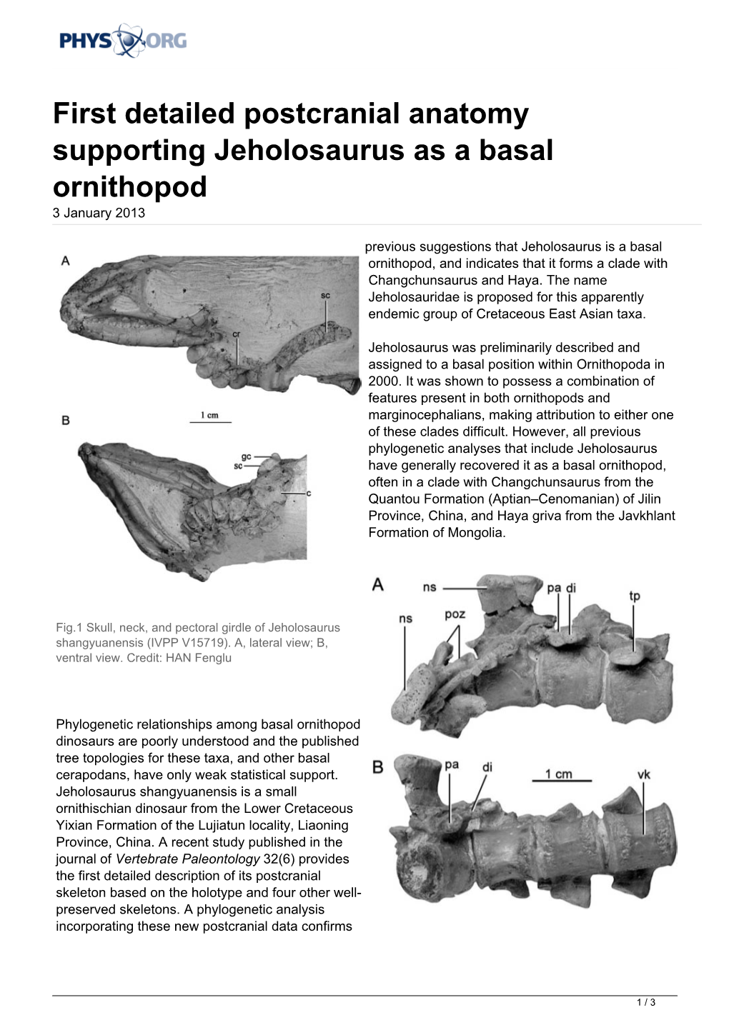 First Detailed Postcranial Anatomy Supporting Jeholosaurus As a Basal Ornithopod 3 January 2013