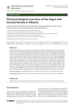 Phytosociological Overview of the Fagus and Corylus Forests in Albania