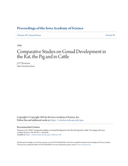 Comparative Studies on Gonad Development in the Rat, the Pig and in Cattle J