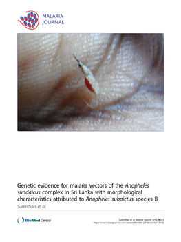 Genetic Evidence for Malaria Vectors of the Anopheles Sundaicus