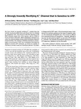 A Strongly Inwardly Rectifying K+ Channel That Is Sensitive to ATP