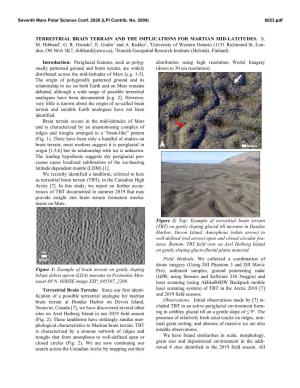 Terrestrial Brain Terrain and the Implications for Martian Mid-Latitudes