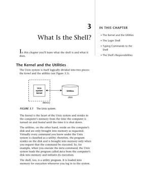 What Is the Shell? • the Login Shell