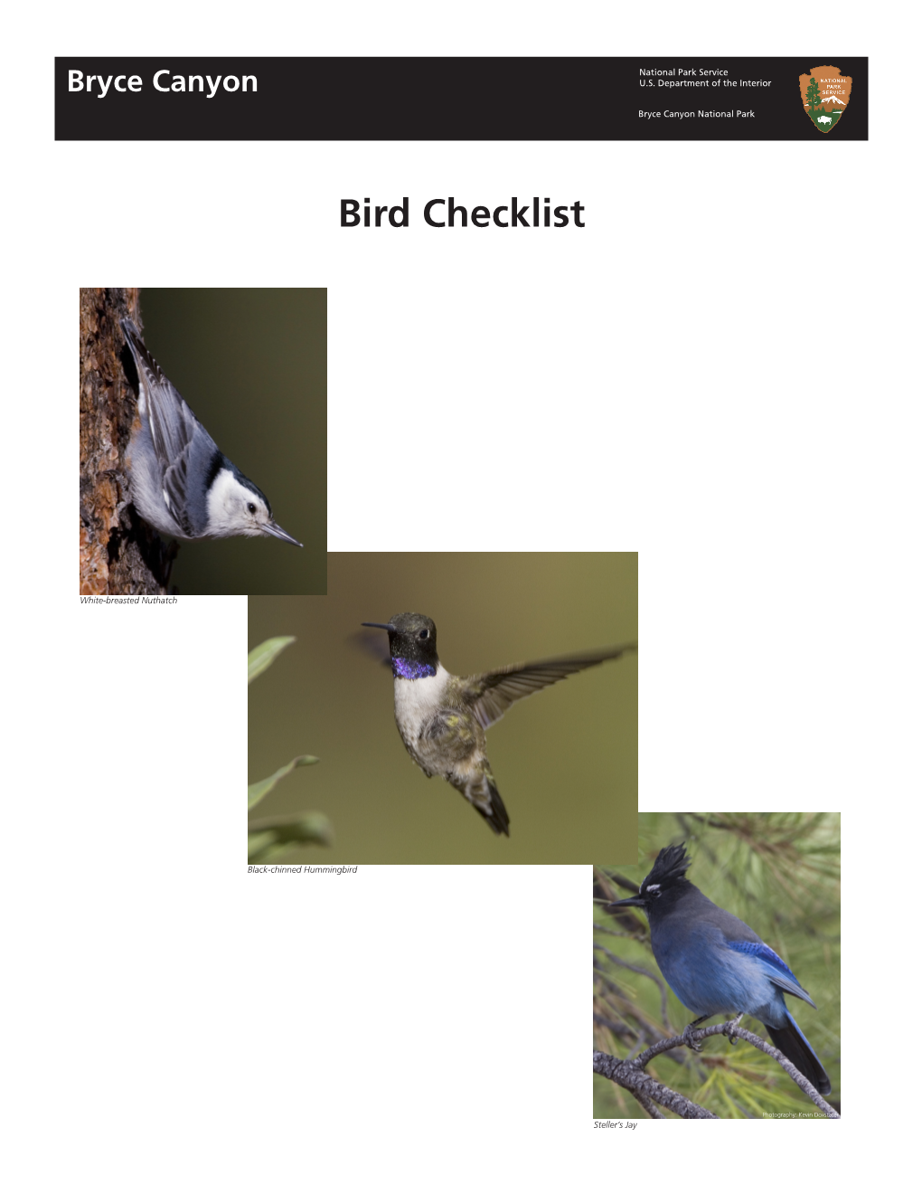 Bird Checklist