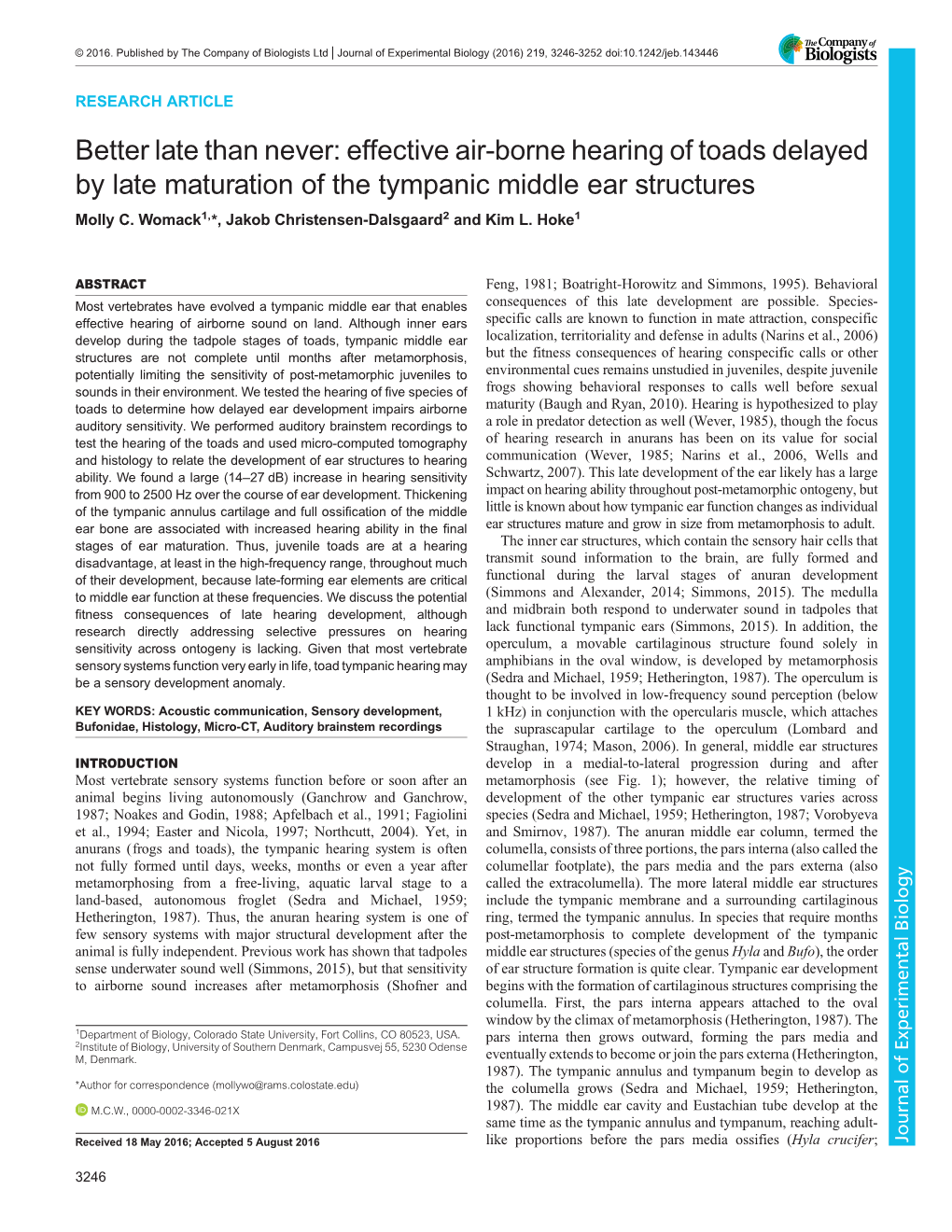 Effective Air-Borne Hearing of Toads Delayed by Late Maturation of the Tympanic Middle Ear Structures Molly C