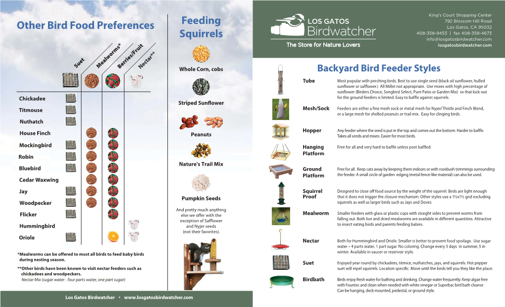 Other Bird Food Preferences Feeding Squirrels