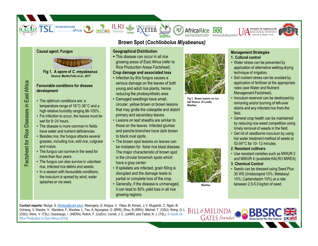 Brown Spot (Cochliobolus Miyabeanus) Factsheet for R Ice D