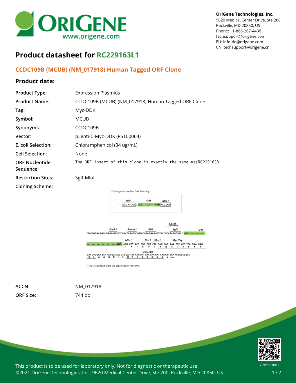 CCDC109B (MCUB) (NM 017918) Human Tagged ORF Clone Product Data