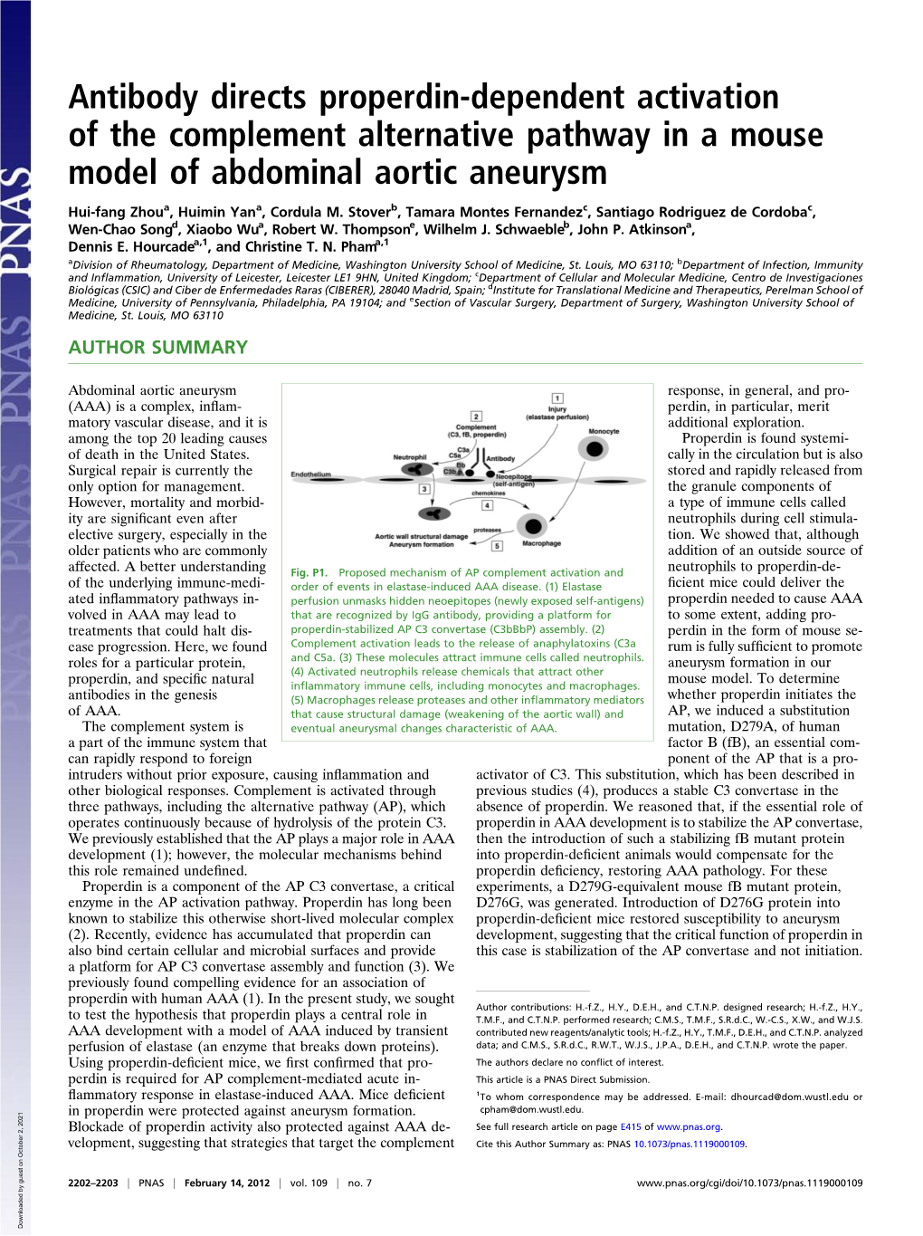 Antibody Directs Properdin-Dependent Activation of the Complement Alternative Pathway in a Mouse Model of Abdominal Aortic Aneurysm