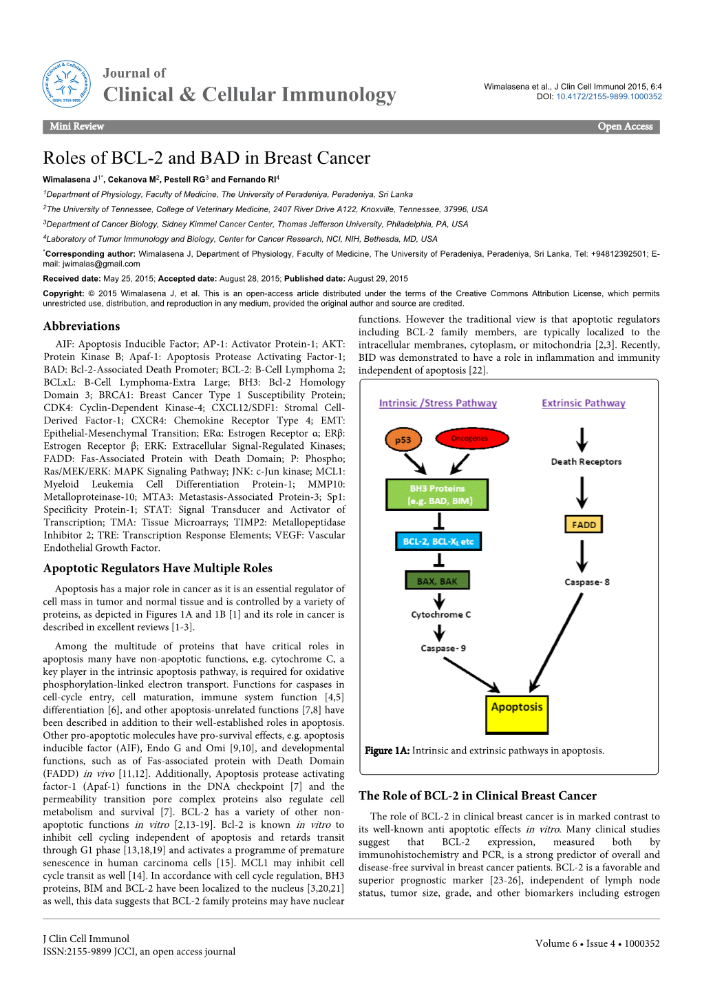 Roles of BCL-2 and BAD in Breast Cancer