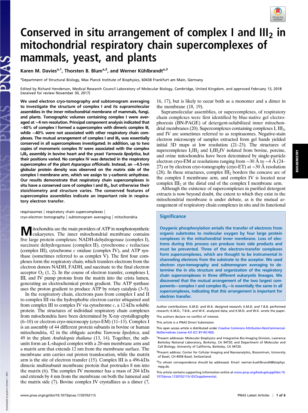 Conserved in Situ Arrangement of Complex I and III2 in Mitochondrial Respiratory Chain Supercomplexes of Mammals, Yeast, and Plants