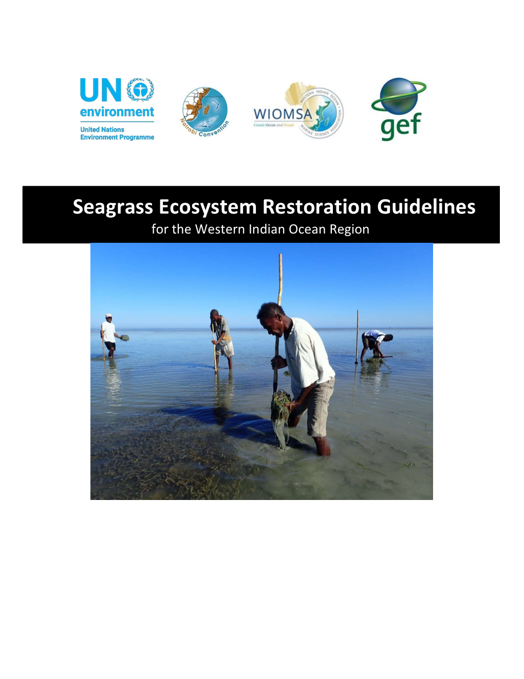 Seagrass Ecosystem Restoration Guidelines for the Western Indian Ocean Region