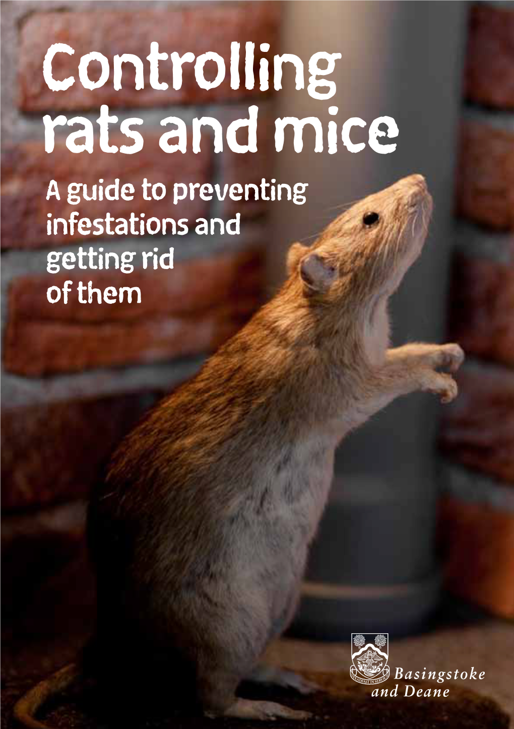 Controlling Rats and Mice Leaflet(PDF)