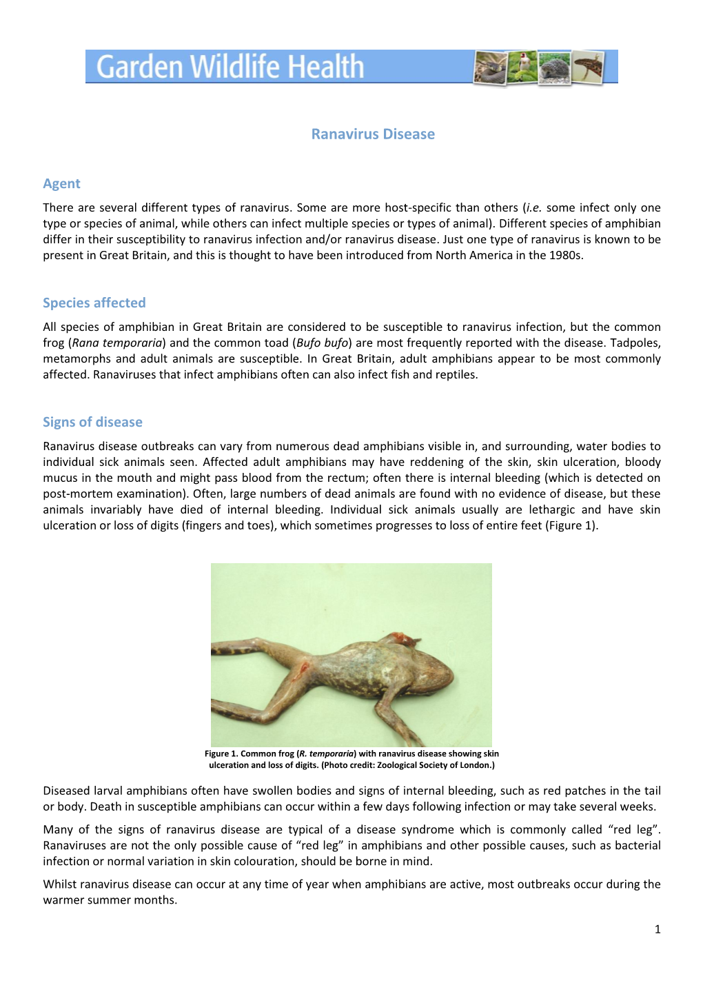 Ranavirus Disease