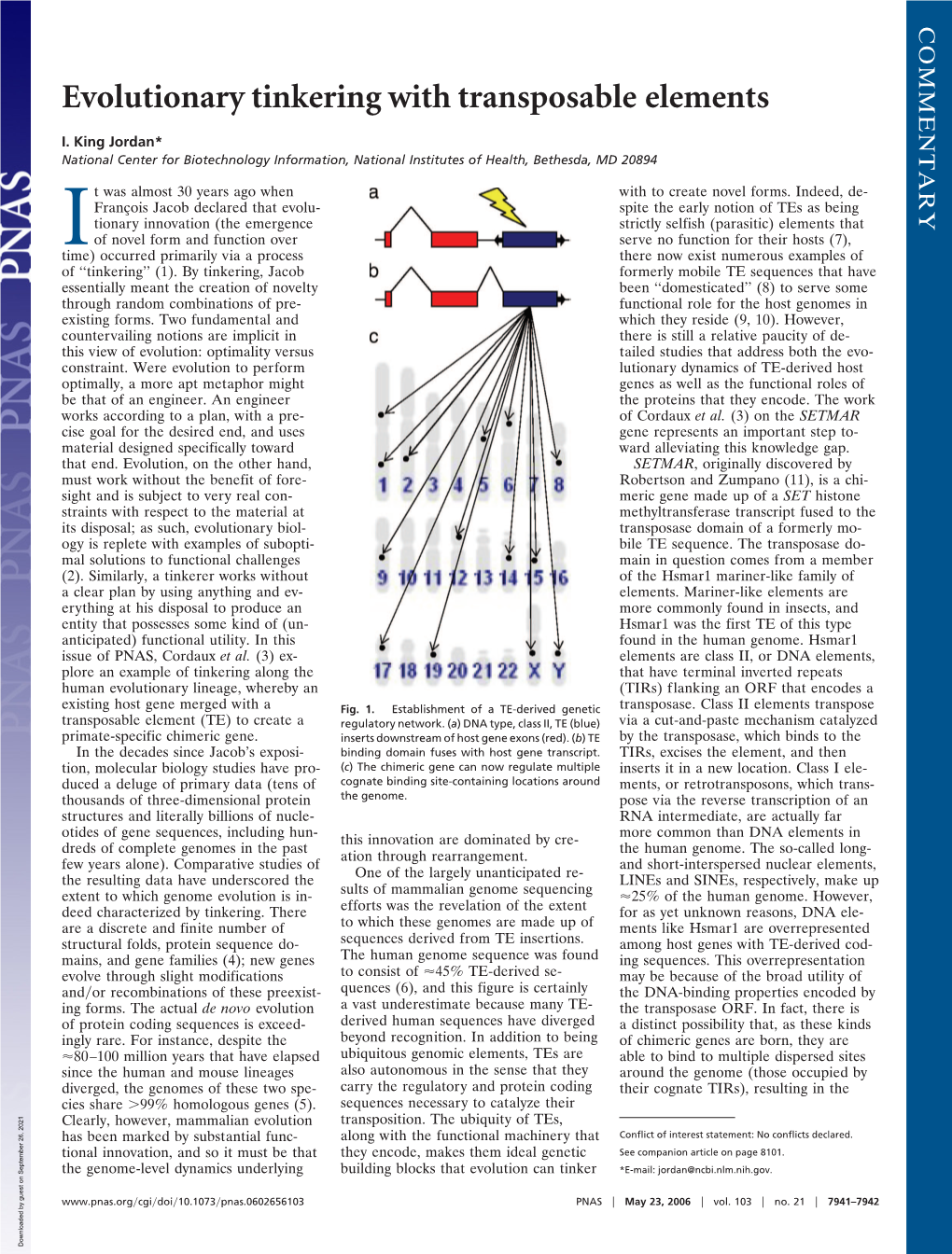 Evolutionary Tinkering with Transposable Elements