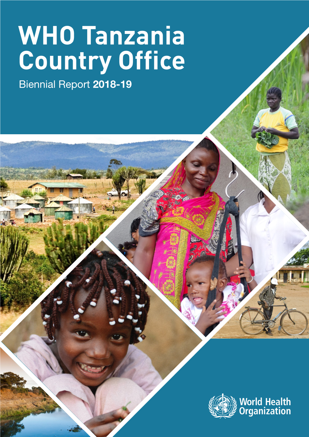 WHO TANZANIA REPORT FINAL.Pdf