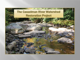 The Casselman River Watershed Restoration Project CONSTANCE A