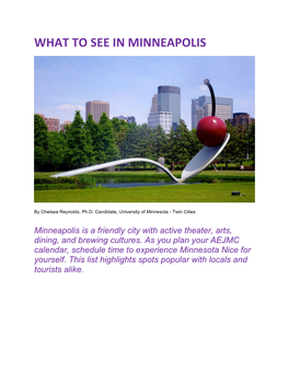 What to See in Minneapolis