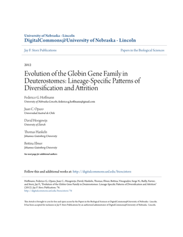 Evolution of the Globin Gene Family in Deuterostomes: Lineage-Specific Ap Tterns of Diversification and Attrition Federico G