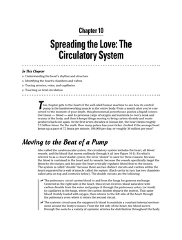 Spreading the Love: the Circulatory System