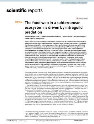 The Food Web in a Subterranean Ecosystem Is Driven by Intraguild
