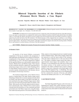 Bilateral Tripartite Insertion of the Fibularis (Peroneus) Brevis Muscle: a Case Report