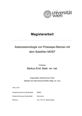 Magisterarbeit