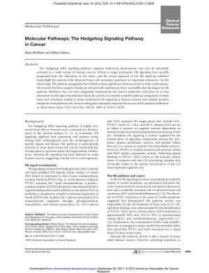 The Hedgehog Signaling Pathway in Cancer